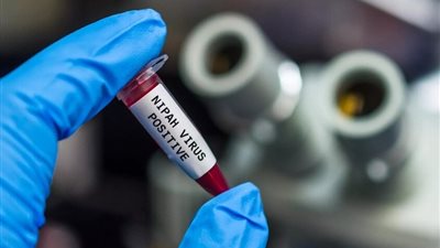 إجراءات سريعة في الهند لمواجهة فيروس خطير لا علاج له تنقله 