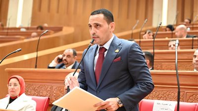 «المصريون بالخارج لا يجوز معاملتهم كمهربين».. إسلام التلواني يطالب بمراجعة رسوم الهواتف المحمولة 