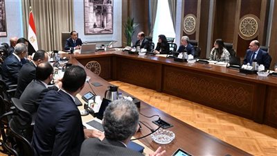 مدبولي يعقد اجتماعًا لبحث فرص توطين صناعة السيارات وزيادة تنافسية المناطق الحرة