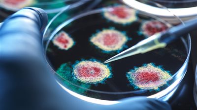 دراسة مقلقة.. قنابل فيروسية مهملة قد تهدد الصحة العالمية