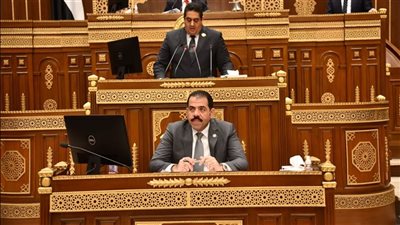 نائب أمام الشيوخ يطالب بغلق فيس بوك وحظر تيك توك لحماية الأطفال