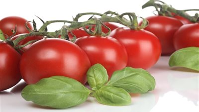 الطماطم     