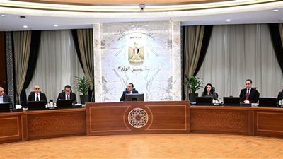 الحكومة: تطبيق منظومة تعداد سكاني متكامل وفق أحدث النظم العالمية بحلول 2037