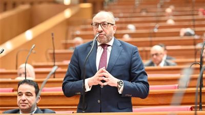 النائب حسام الحسيني