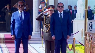 الرئيس السيسي يجدد موقف مصر الثابت الداعم لوحدة الصومال وأمنه وسلامة