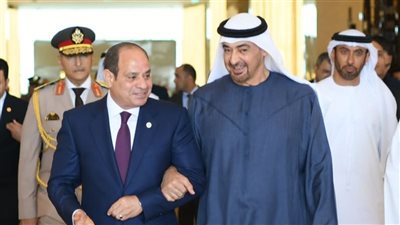 رئيس الإمارات في مقدمة مستقبليه.. السيسي يصل إلى أبو ظبي (فيديو)