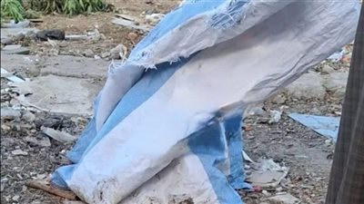 العثور على أجنة بشرية بجوار صندوق قمامة في المنيا.. روايات متداولة والتحقيق مستمر