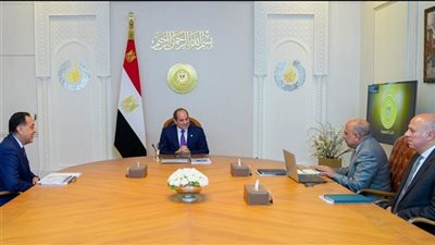 السيسي يطلع على خطة وزارة الكهرباء لتأمين التغذية الكهربائية للمواطنين خلال صيف 2026