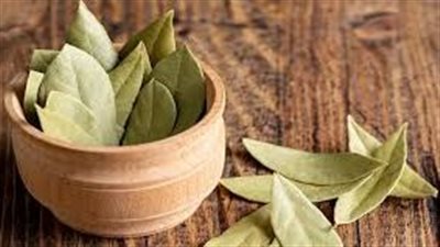 أوراق الغار    