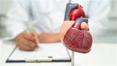 فحوصات القلب (تعبيرية)    