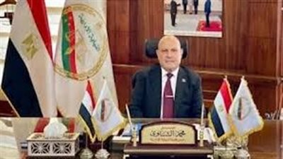 المستشار محمد الشناوي