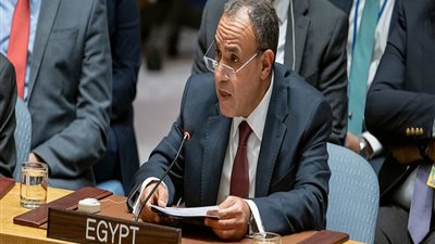 وزير الخارجية بدر عبد العاطي