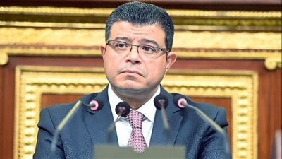 النائب محمد سليمان.... المرأة المصرية حققت أسطورة نجاح على مر العصور