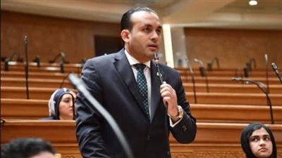 النائب عمرو السعيد فهمي