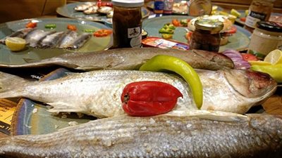 الأسماك المملحة    