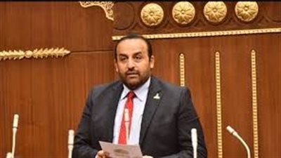 النائب محمد شبانة، عضو مجلس الشيوخ ورئيس نادى الصحفيين