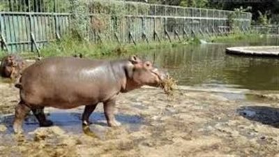 67 ألف زائر لـ 