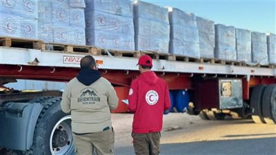 الهلال الأحمر المصري يرسل 2,820 طنًا من المساعدات إلى غزة