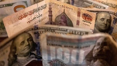 الجنيه المصري والدولار