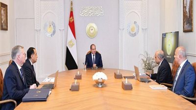 الرئيس يؤكد ضرورة التوسع المدروس في مشروعات الطاقة الجديدة والمتجددة