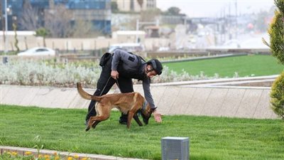 الداخلية السورية: إحباط مخطط لاستهداف شخصية دينية بعبوة ناسفة في دمشق