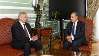 قبيل منتدى نيويورك.. وزير الخارجية يتابع مع 