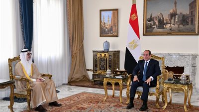 الرئيس السيسي يستقبل وزير خارجية الكويت: نرفض أي اعتداء على سيادة الدول العربية