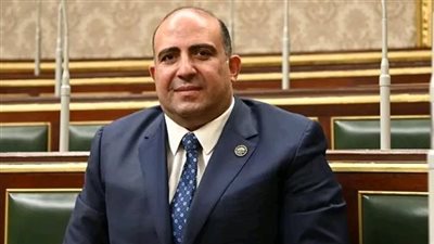 النائب محمد سليم