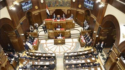 مجلس الشيوخ 