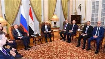 وزير الخارجية يستقبل مساعد رئيس روسيا الاتحادية 