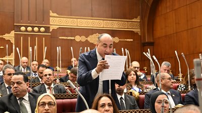 عضو الشيوخ عمرو رشاد: تعديل قانون التأمينات ضرورة لحماية ملايين المصريين