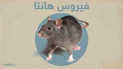 فيروس هانتا
