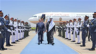 الرئيس السيسي يزور الإمارات ويلتقى الشيخ محمد بن زايد: «ما يمس أبو ظبي يمس مصر»