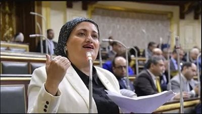 النائبة سناء السعيد، عضو مجلس النواب