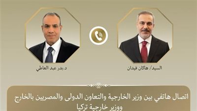 وزير الخارجية يبحث مع نظيره التركي جهود خفض التصعيد الإقليمي