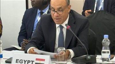 وزير الخارجية: أفريقيا تستحق تمثيلًا دائمًا وعادلًا بمجلس الأمن