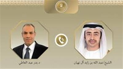 وزير الخارجية يبحث مع نظيره الإماراتي جهود خفض التصعيد ويدين استهداف محطة براكة