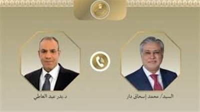وزير الخارجية يبحث مع نظيره الباكستاني سبل تعزيز العلاقات وخفض التصعيد الإقليمي