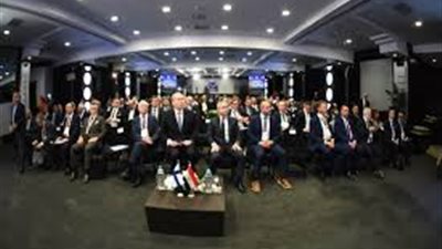 الرئيس الفنلندي: مصر بالنسبة لفنلندا شريك مهما للغاية