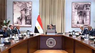 رئيس الوزراء يستعرض جهود تعزيز الربط والتبادل التجاري واللوجيستي مع الدول الأفريقية