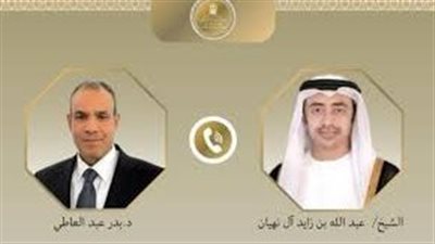 وزير الخارجية يبحث مع نظيره الإماراتي التطورات الإقليمية