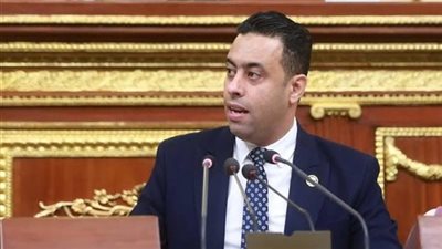 النائب أحمد فرغلي
