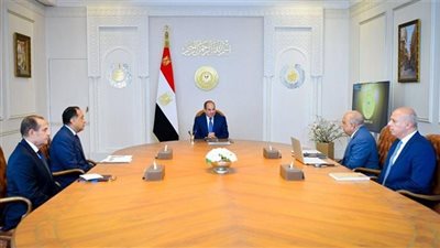 الرئيس السيسي يوجه بتسريع مشروعات دعم الشبكة القومية للكهرباء والتوسع في الطاقة المتجددة