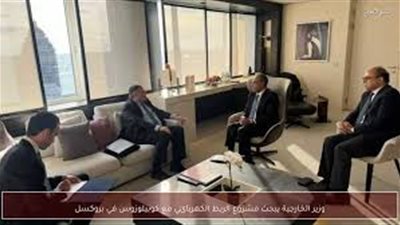 شراكة الطاقة العابرة للقارات.. تفاصيل لقاء عبد العاطي مع رئيس 
