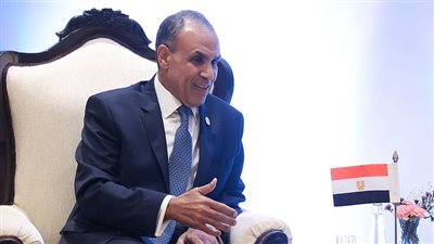 وزير الخارجية: القاهرة تستكمل خطط إصدار سندات الساموراي