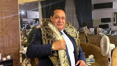 أشهر محام مصري يدافع عن نخنوخ.. من هو؟