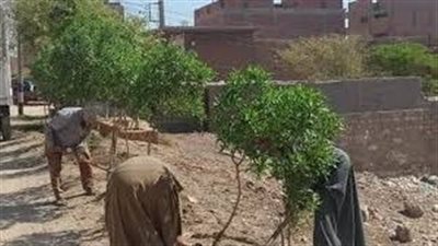 الحكومة تعلن نجاح المرحلة الرابعة من المبادرة الرئاسية 