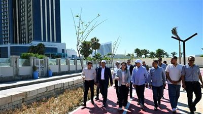 رئيس الوزراء يفتتح كوبرى C19 بالعلمين الجديدة