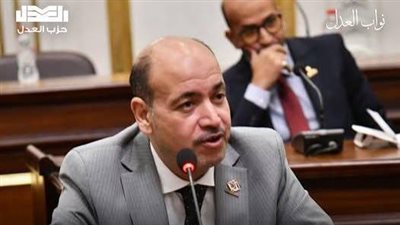 النائب أحمد سيد أحمد