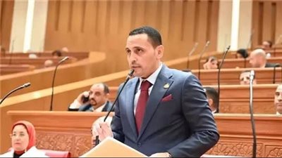 النائب إسلام التلواني